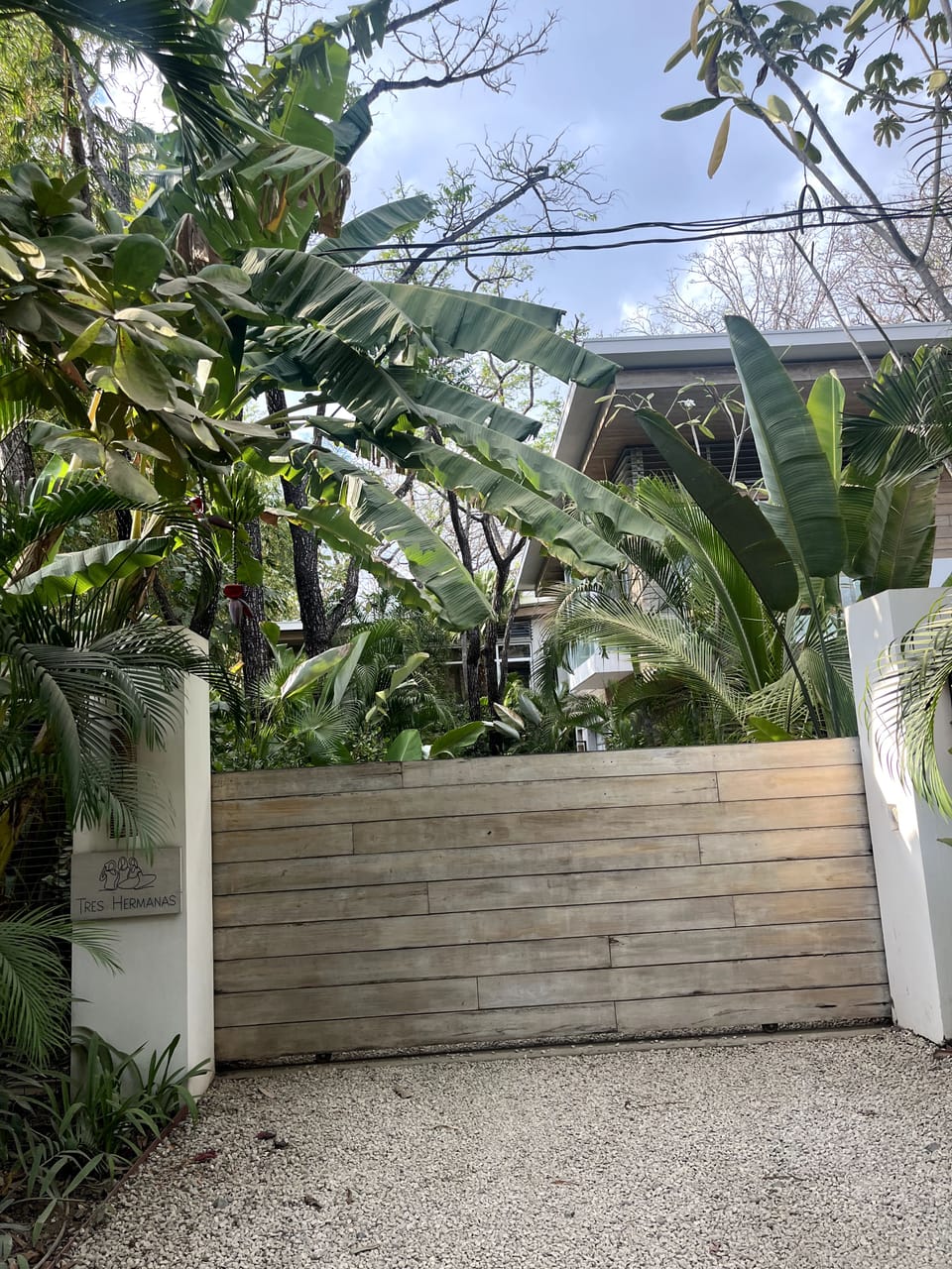 The Lives People Live