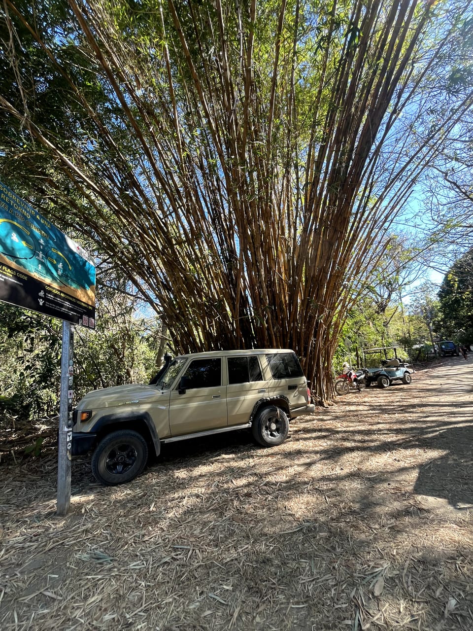 Run Through The Jungle